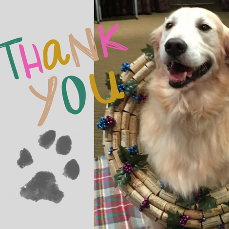 Protected: Paws to Thank You!